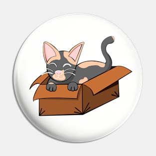 Kitty Kardboard Pin