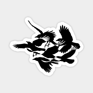 Silhouette of Crows Flying Magnet