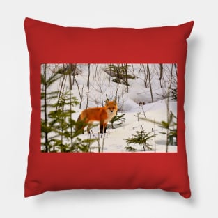 Winter Fox Pillow