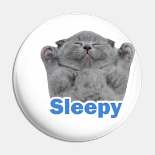 vintage-sleepy cat Pin