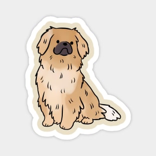 Tibetan Spaniel Dog Cute Fluffy Pet Owner Magnet