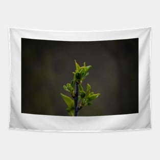 New Growth Spring Tapestry