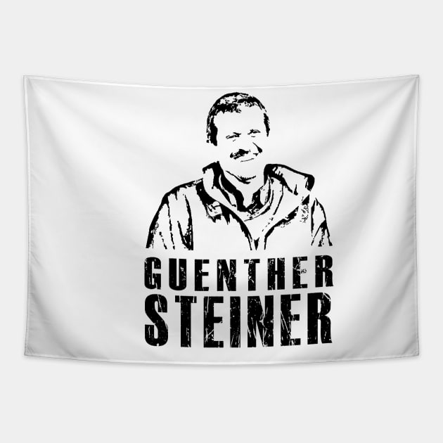 Guenther Steiner Tapestry by Color-Lab