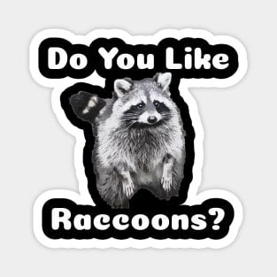 Do You Like Raccoons? Magnet