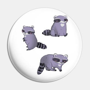 Cartoon raccoons Pin