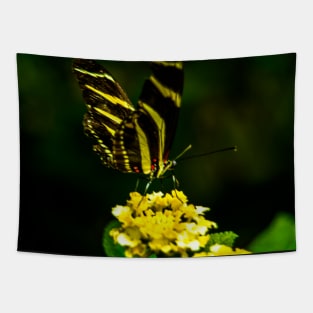 Flower with Butterfly Tapestry