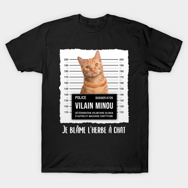 Cadeau Humoristique Pour Proprietaires De Chat Roux Chat T Shirt Teepublic