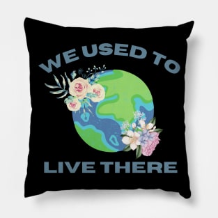 We Used To Live There Pillow