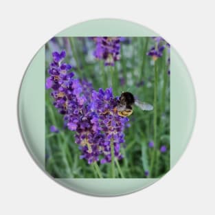 bumblebee on lavender Pin