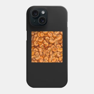 Pumpkin Explosion Phone Case