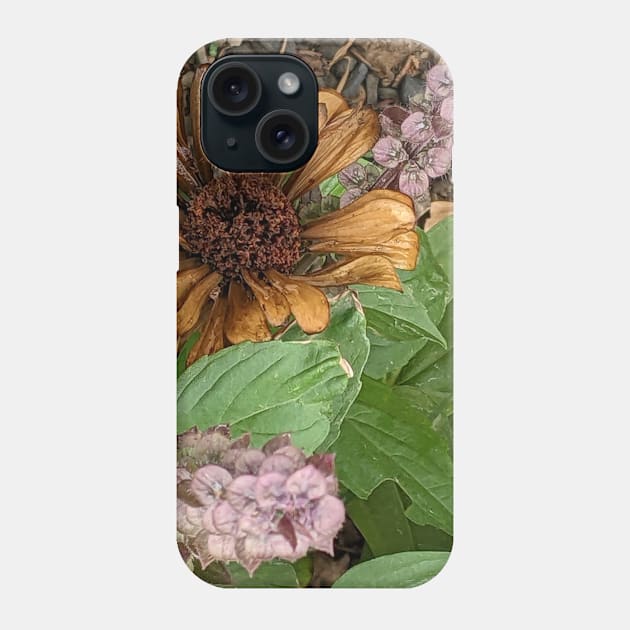 Greek basil and withered zinnia Phone Case by aeolia