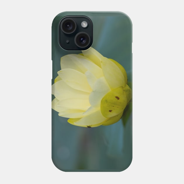 Water lily Phone Case by Drgnfly4free