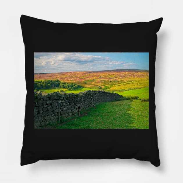 Yorkshire Moors Landscape Pillow by MartynUK