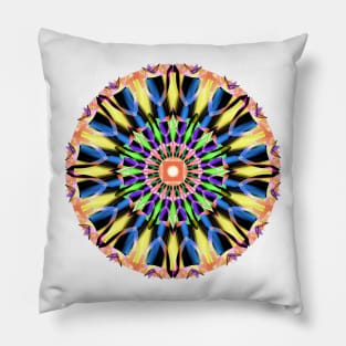 Kaleidoscope Pillow