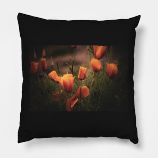 California poppies orange Pillow