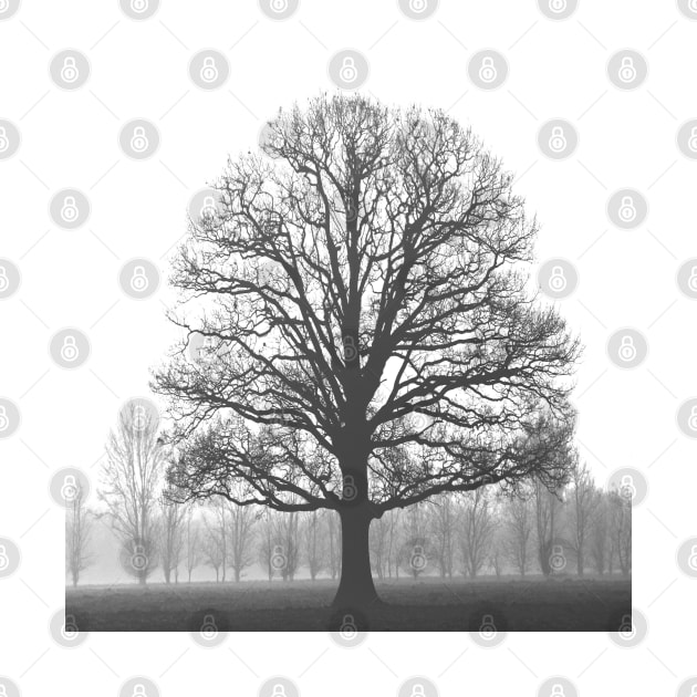 nature environmental awareness black and white tree silhouette by Tina