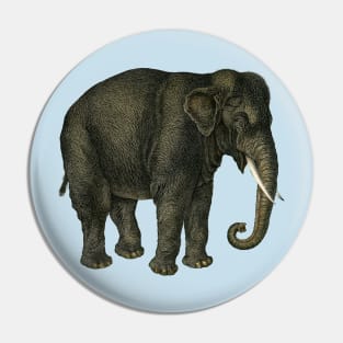 Majestic Asian Elephant with Tusks Pin