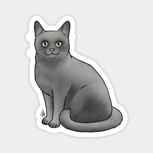 Burmese Cat - Blue Magnet