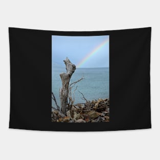 Searching for a Rainbow Tapestry