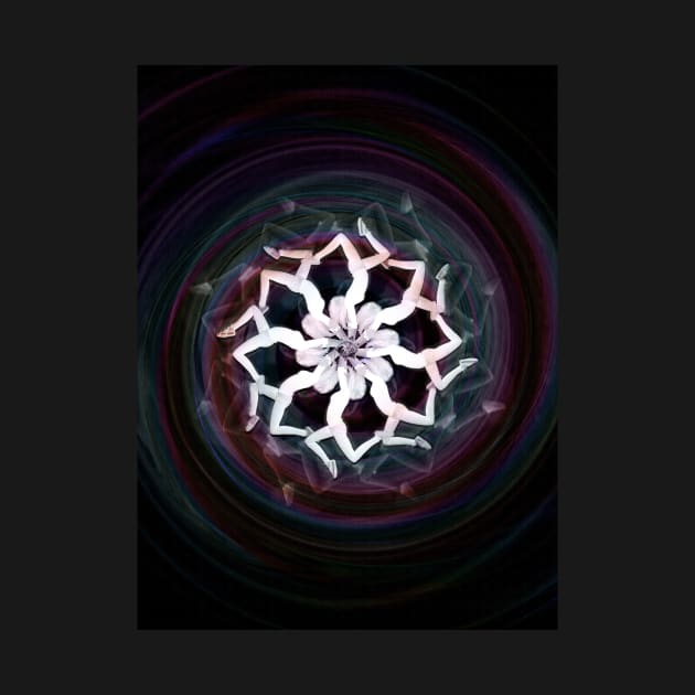 Mandala by ruddvan