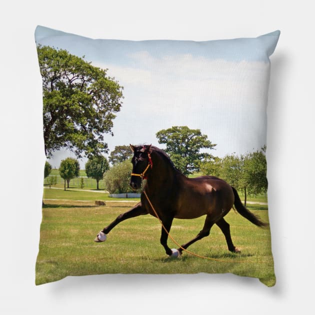 Watch Me Fly Pillow by BecauseofHorses
