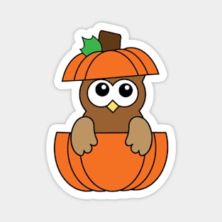 Cute Owl In Pumpkin Magnet