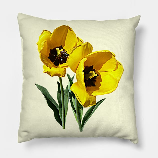 Tulip Best Friends Pillow by SusanSavad