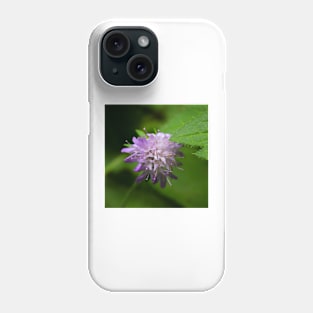 Violet Mountain Flower - Globularia nudicaulis L Phone Case