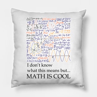 MATH IS COOL Pillow