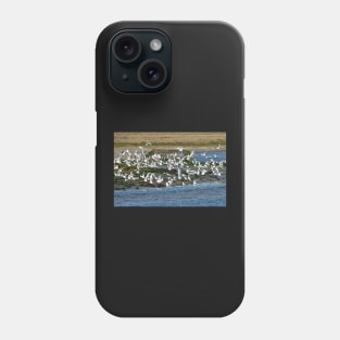 Le Conquet - L'envol Phone Case