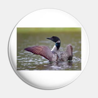 Common Loon - Buck Lake, Ontario Pin