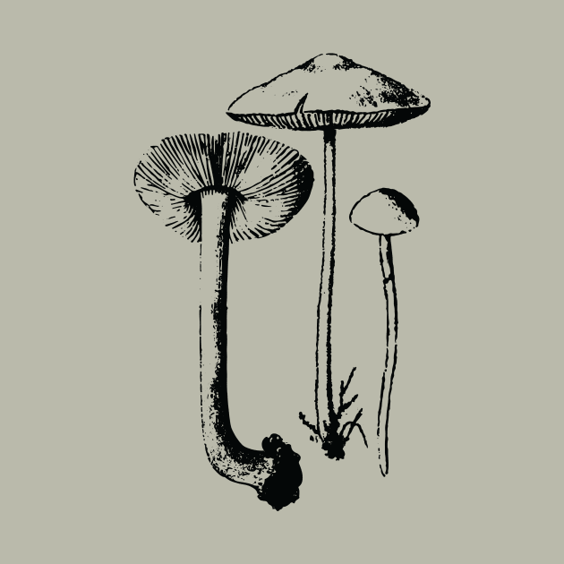 Mushrooms by Spindriftdesigns