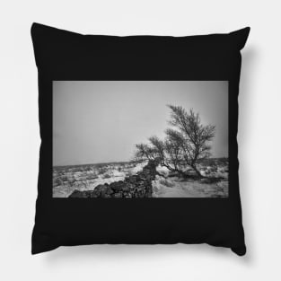 Lone Tree Pillow