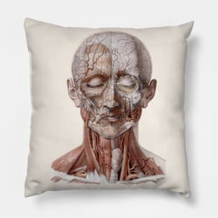 Vintage Human Anatomy Science, Head Throat Nose Pillow