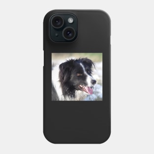 Border Collie dog in the snow Phone Case