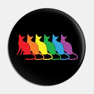 Rainbow cats Pin