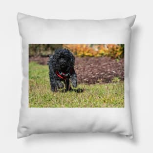 Hunting Poodles Pillow