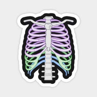 Colourful Ribcage Magnet