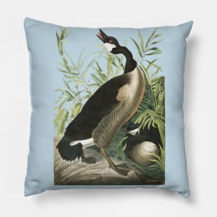 Audubons Canada Goose Pillow