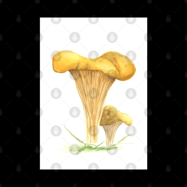 Art picture painted watercolor mushroom by ArtFromK