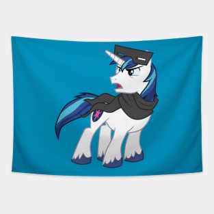 Blizzard Shining Armor Tapestry