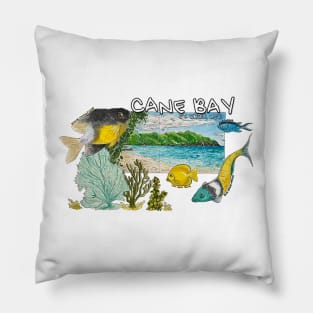 Cane Bay Beach Fish and Coral St. Croix USVI Pillow