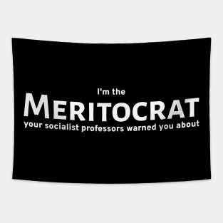 Meritocracy Anti Socialist Meritocrat Political Philosophy Tapestry