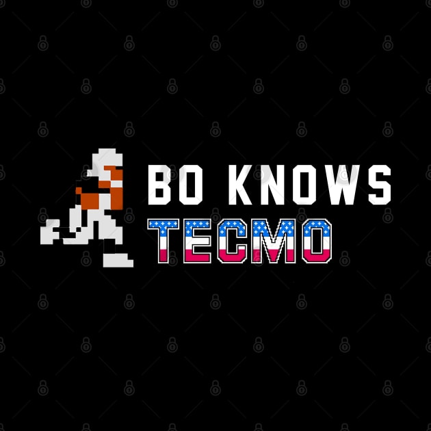 Bo Knows Tecmo by BodinStreet