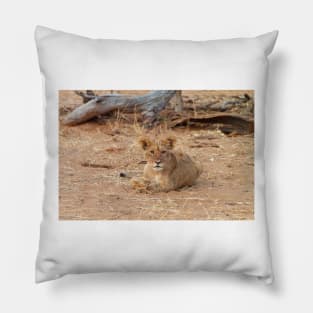 Little Lion Cub Resting Pillow