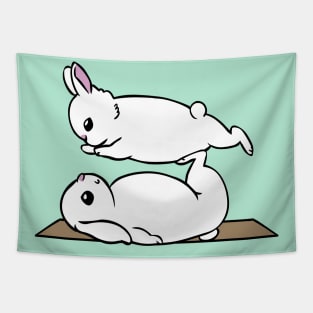 Acroyoga Bunnies Tapestry