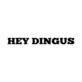 Hey dingus - Robin - inspired by Stranger Things, Netflix T-Shirt