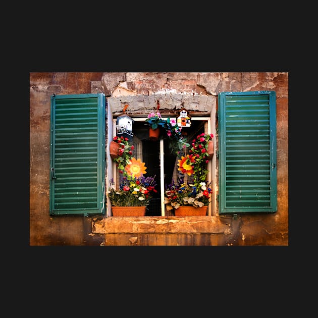 Tuscan window - Siena by newbeltane