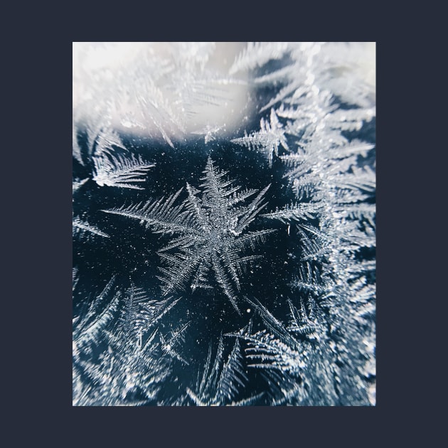 Snowflakes Frosted Glass Winter by Haministic Harmony