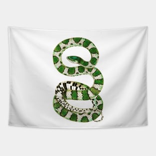 serpent,cobra,reptile,viper,venom,lizard,rattlesnake,king cobra,dragon,hydra,poison,venomous,plumber's snake,pythonidae,pythons,auger,python,squamata,serpentine,worm,big,ophidian,rattlesnakes,medusa,snakebite Tapestry